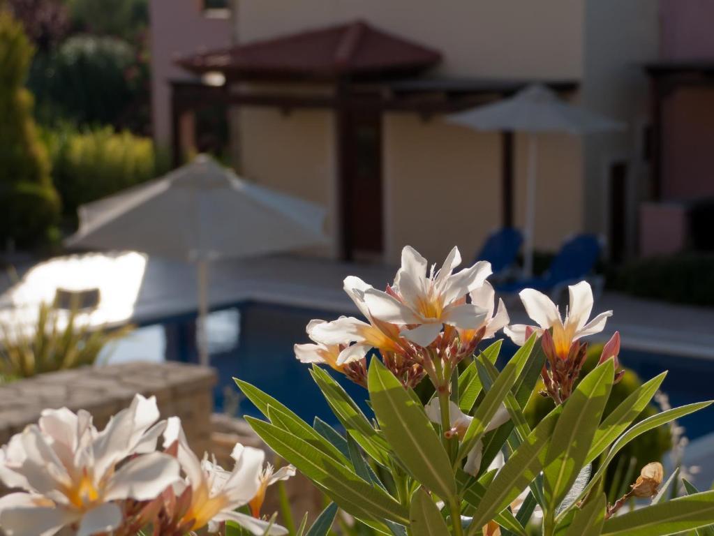 Eligia Villas Mixóruma Szoba fotó